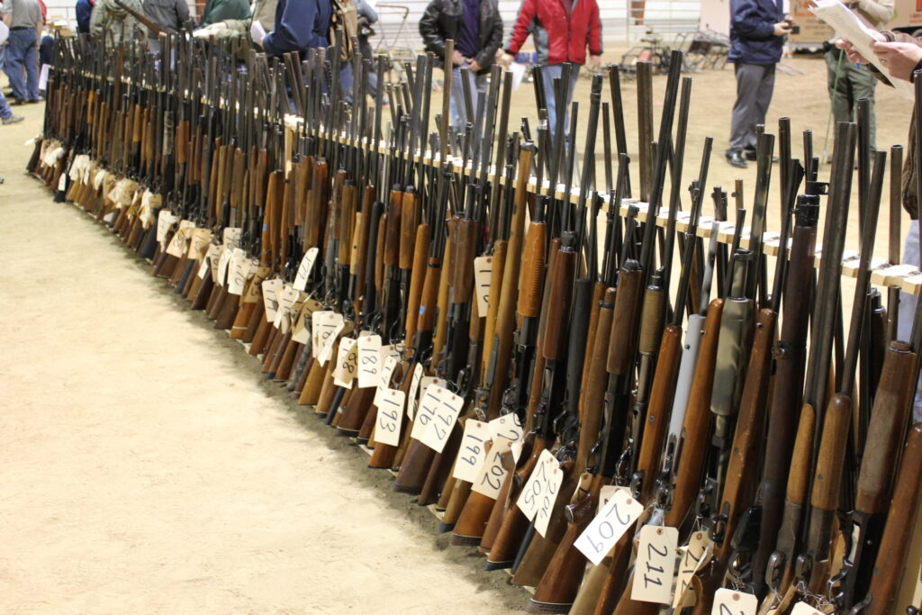 firearm auctions